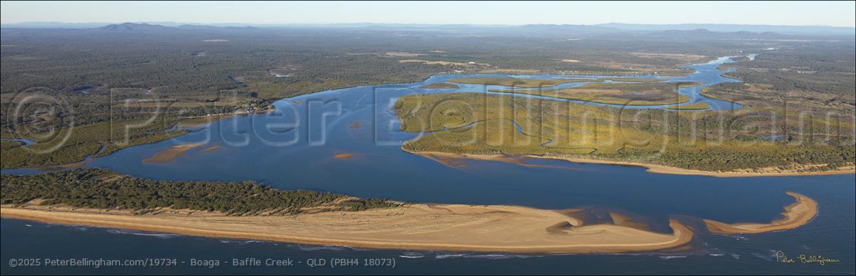 Peter Bellingham Photography Boaga - Baffle Creek - QLD (PBH4 18073)